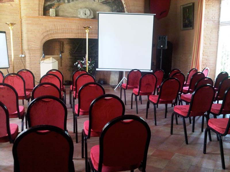 Château de Thegra_31130 BALMA_11